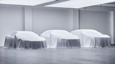 Polestars under cover